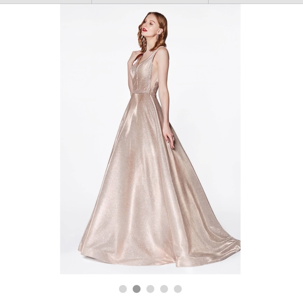 NWT Champagne blush deep V ball gown